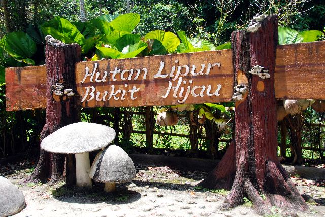 Bukit Hijau Recreational Forest - Kedah Tourist Attractions
