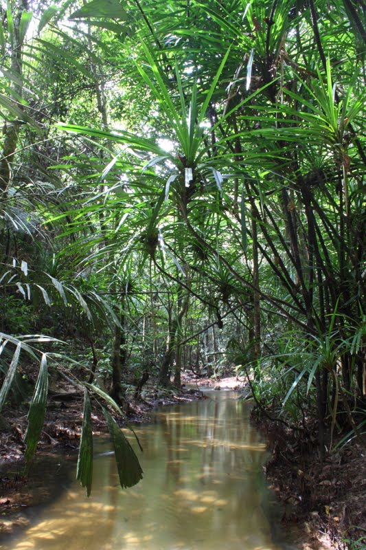 Sungai Tekala - Hulu Langat Attractions Selangor