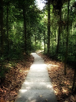 Sungai Tekala - Hulu Langat Attractions Selangor
